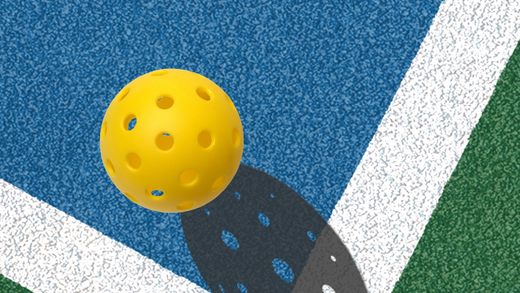 The Greatest Pickleball Champions in the World and Their Inspiring Stories